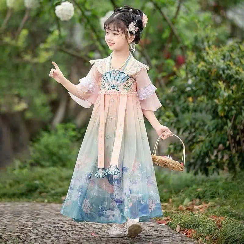 bg15- Vỏ sò đại dương combo99-combo599