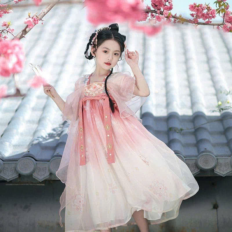 bg16- hồng combo99-combo599