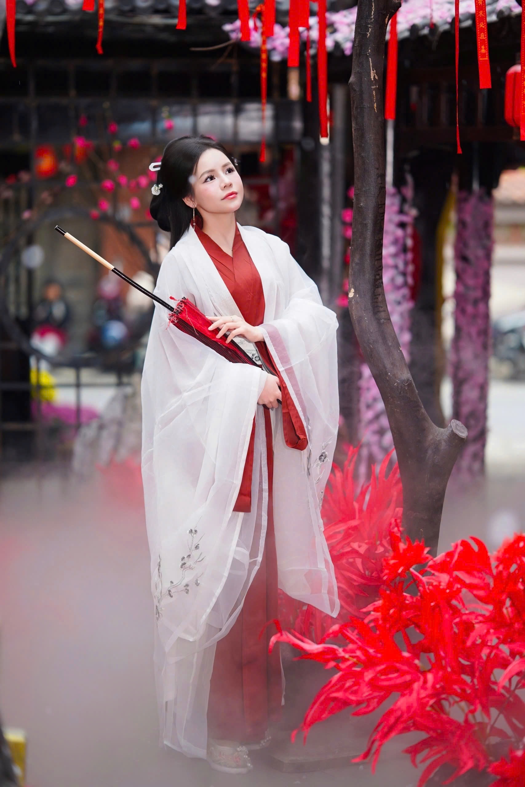 Concept tư hạ 2 – combo999